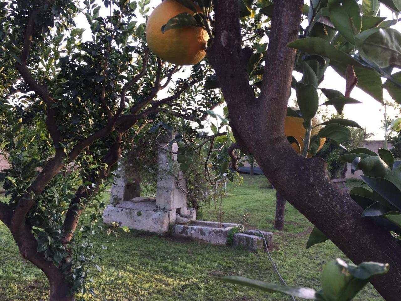 Agriturismo Arangea Lequile Bagian luar foto